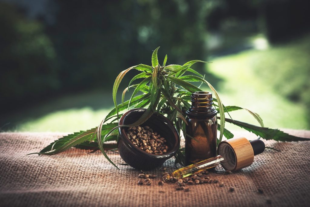 Cannabis Medicinal: Benefícios e Aplicações